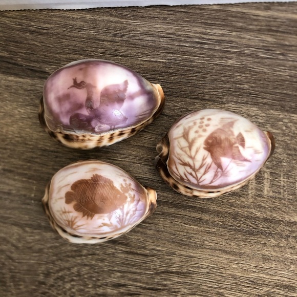 Vtg Hand Carved Cowrie Seashells with Intricate Designs - Picture 7 of 12